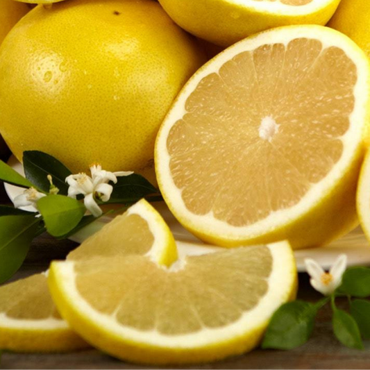 White Grapefruit Tree (Citrus x paradisi) - Tampa Home & Garden Store