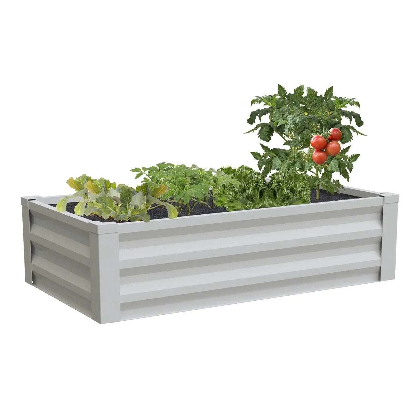 White powder-coated metal rectangular raised garden planter with vegetable plants on Tampa Home & Garden Store
