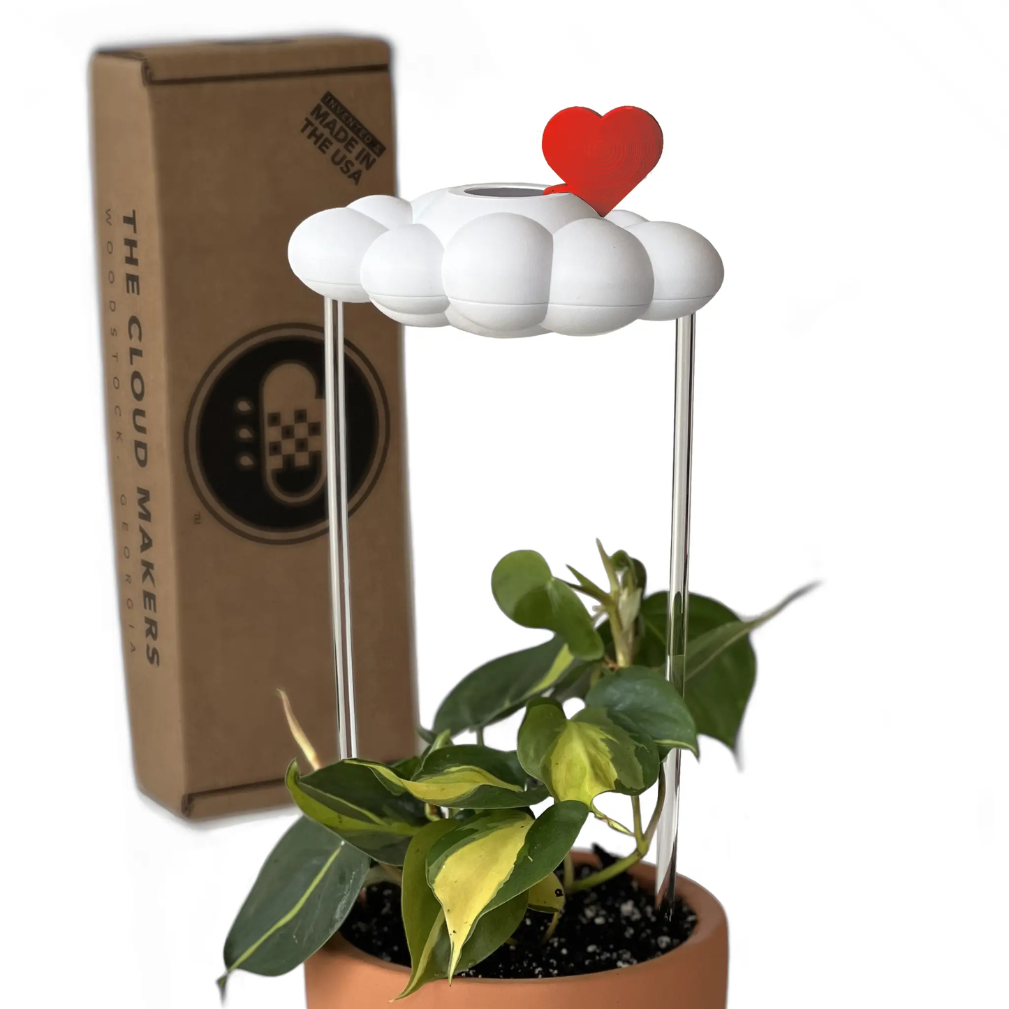 Dripping Rain Cloud with Red Heart Charm House Plant Accessory by The Cloud Makers on Tampa Home & Garden Store