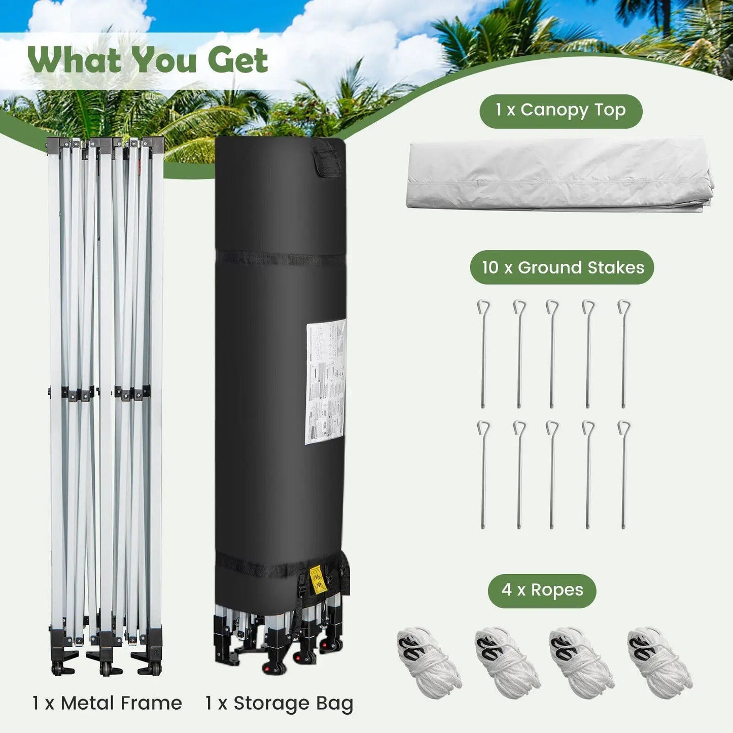 10 x 20 ft Canopy Kit: silver frame, white canopy, bag, stakes, ropes on Tampa Home & Garden Store