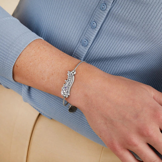 ALEX AND ANI Willy Wonka Snozzberries inline charm bracelet in silver tone worn on the wrist on Tampa Home & Garden Store