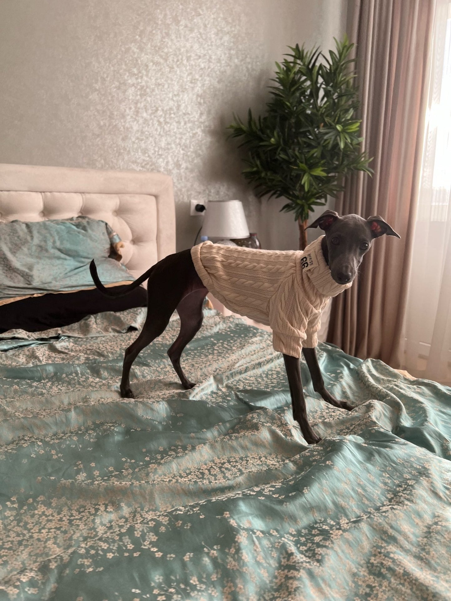 Winter Warm Knitted Turtleneck Sweater for Small Dogs or Cats - Tampa Home & Garden Store
