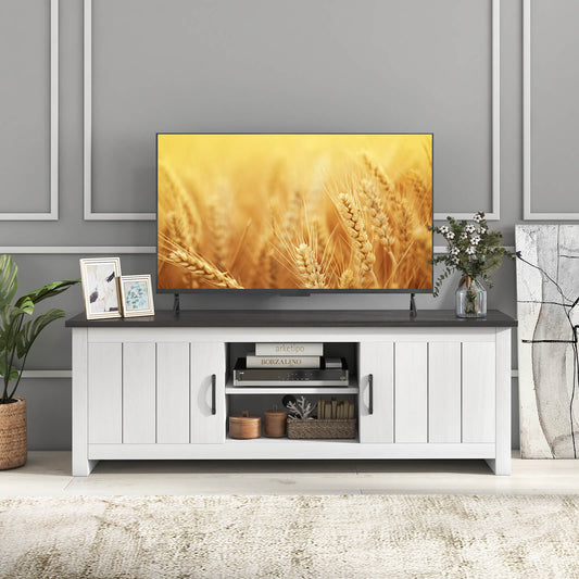 TV Stand with 2 Cabinets and Open Shelves for TVs up to 65 Inch-Black - Tampa Home & Garden Store