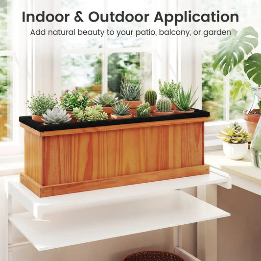 Wooden raised garden bed with drainage holes on windowsill filled with succulents planter liner on Tampa Home & Garden Store