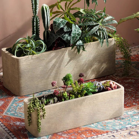 Modern Rectangular Textured Planter RusticReach set of two beige with greens and succulents on Tampa Home & Garden Store