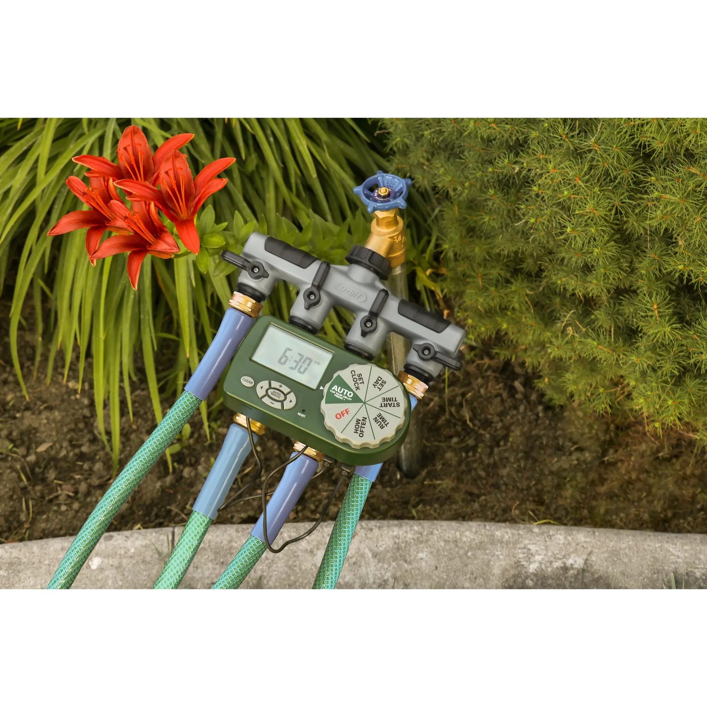 Yard Watering Kit with 4-Station Sprinkler Orbit Irrigation; blue valve knob, digital timer on Tampa Home & Garden Store