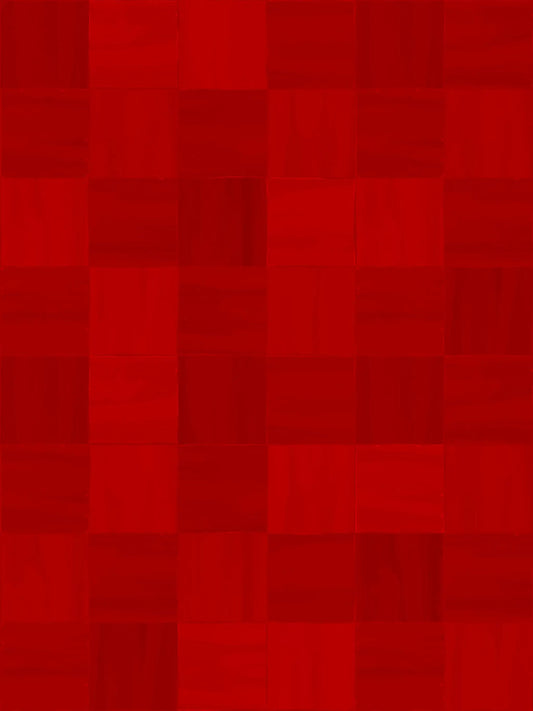Zellige Moroccan Tile Wallpaper red checkered pattern on Tampa Home & Garden Store