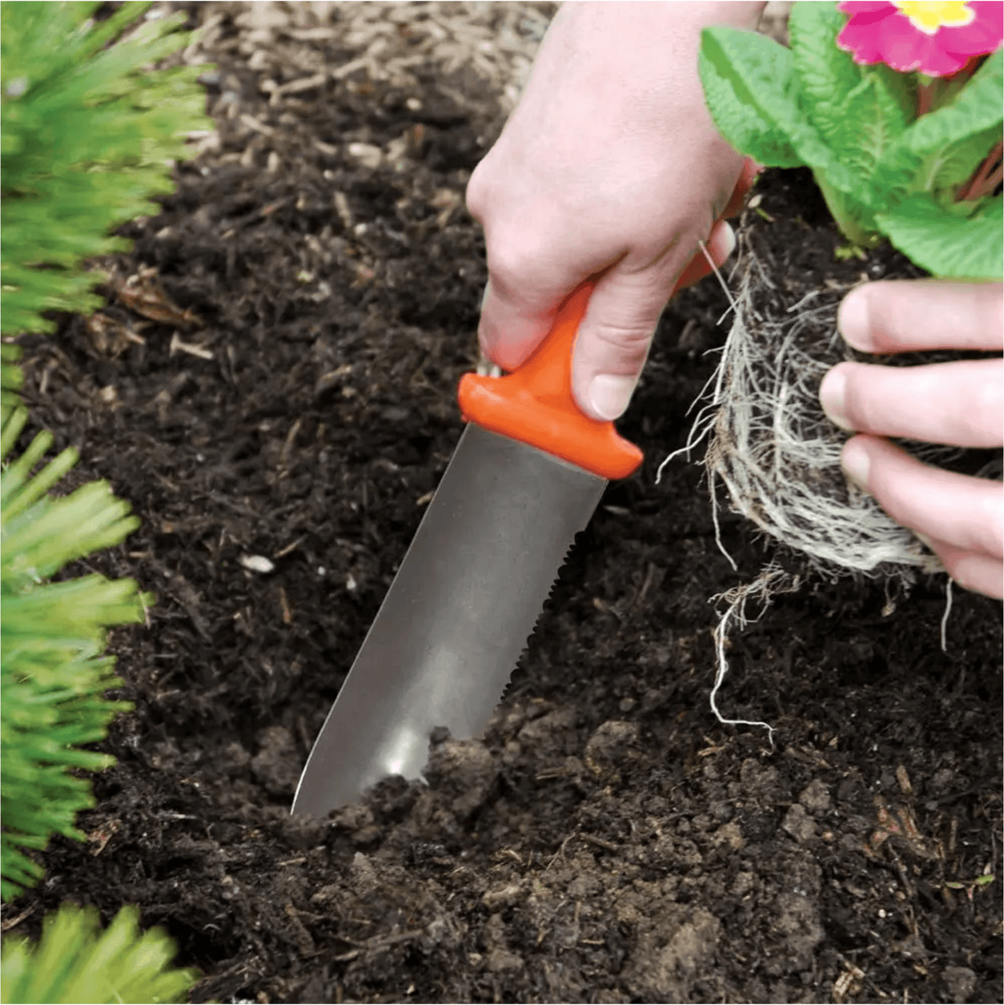 ZenBori Soil Knife - Tampa Home & Garden Store