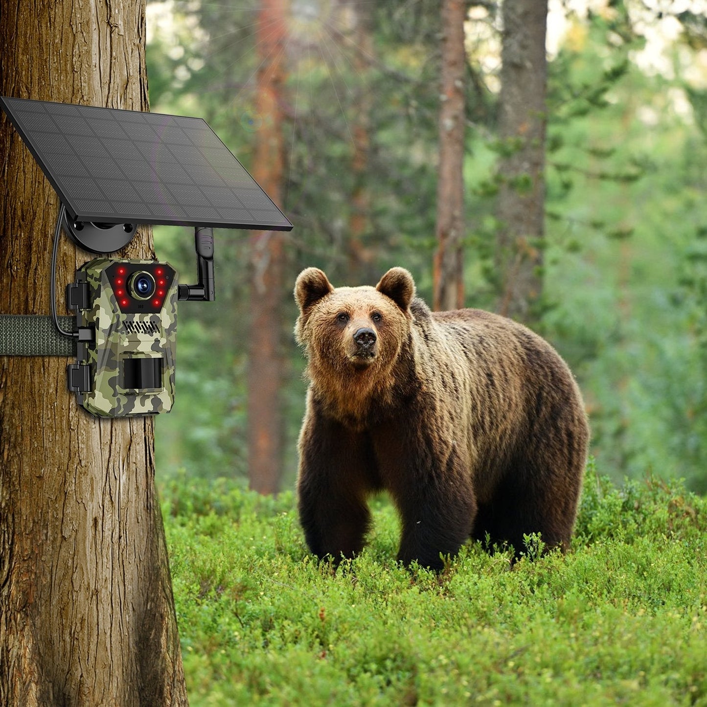 GemGear 4G 4K Solar Trail Camera on tree with solar panel; 140° viewing angle IP66 waterproof on Tampa Home & Garden Store