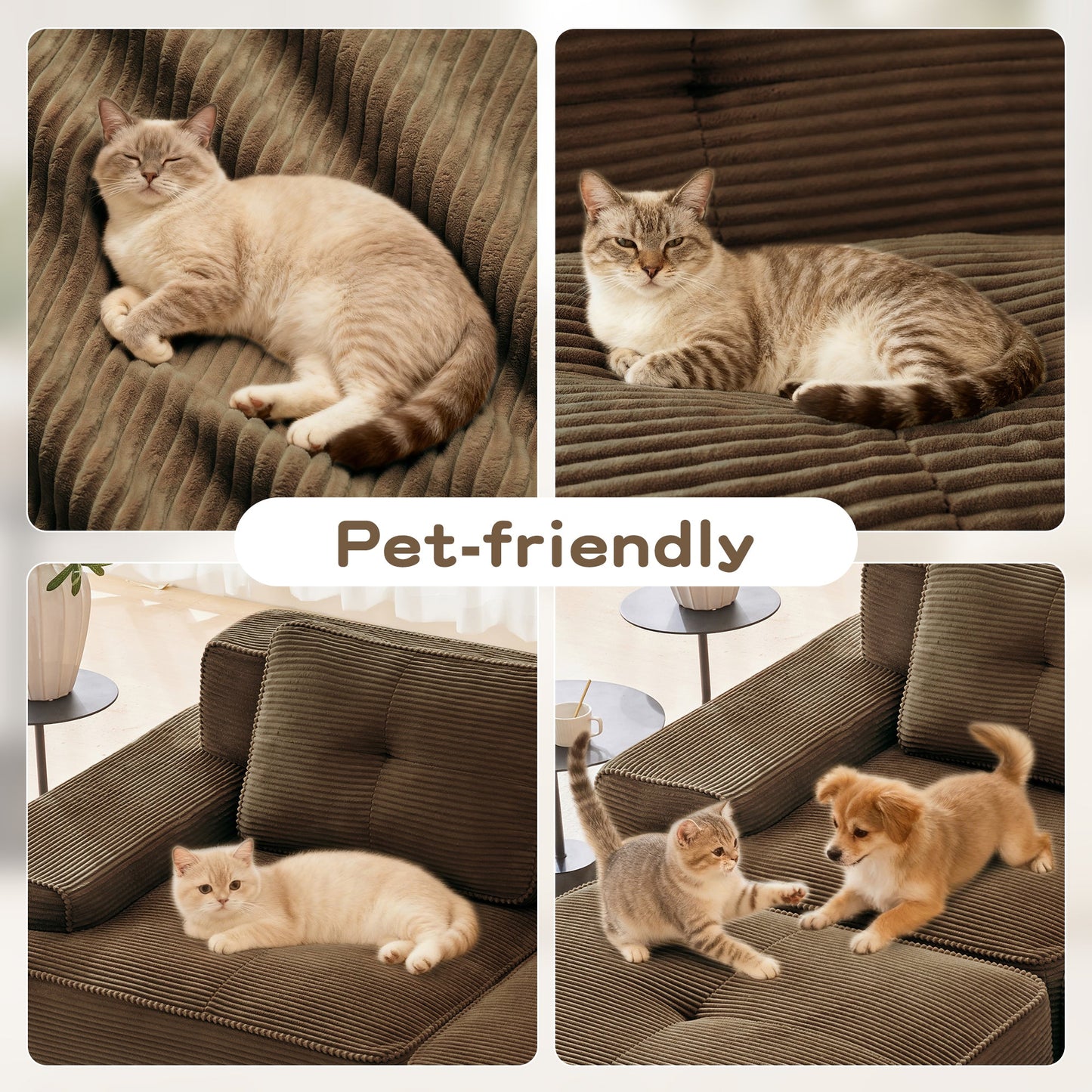 Modern Modular Sofa and Deep Seat Sectional