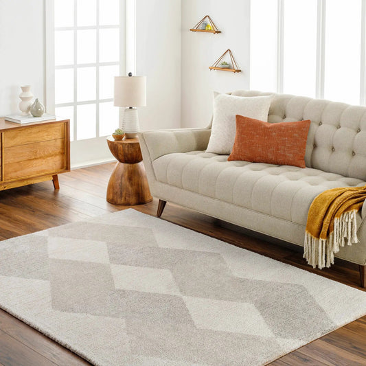 Alake Luxe Rug by Boutique Rugs in beige gray, contemporary large area rug for living room on Tampa Home & Garden Store