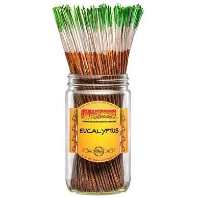Eucalyptus incense sticks bundle in a clear glass jar, 10 green-tipped sticks on Tampa Home & Garden Store
