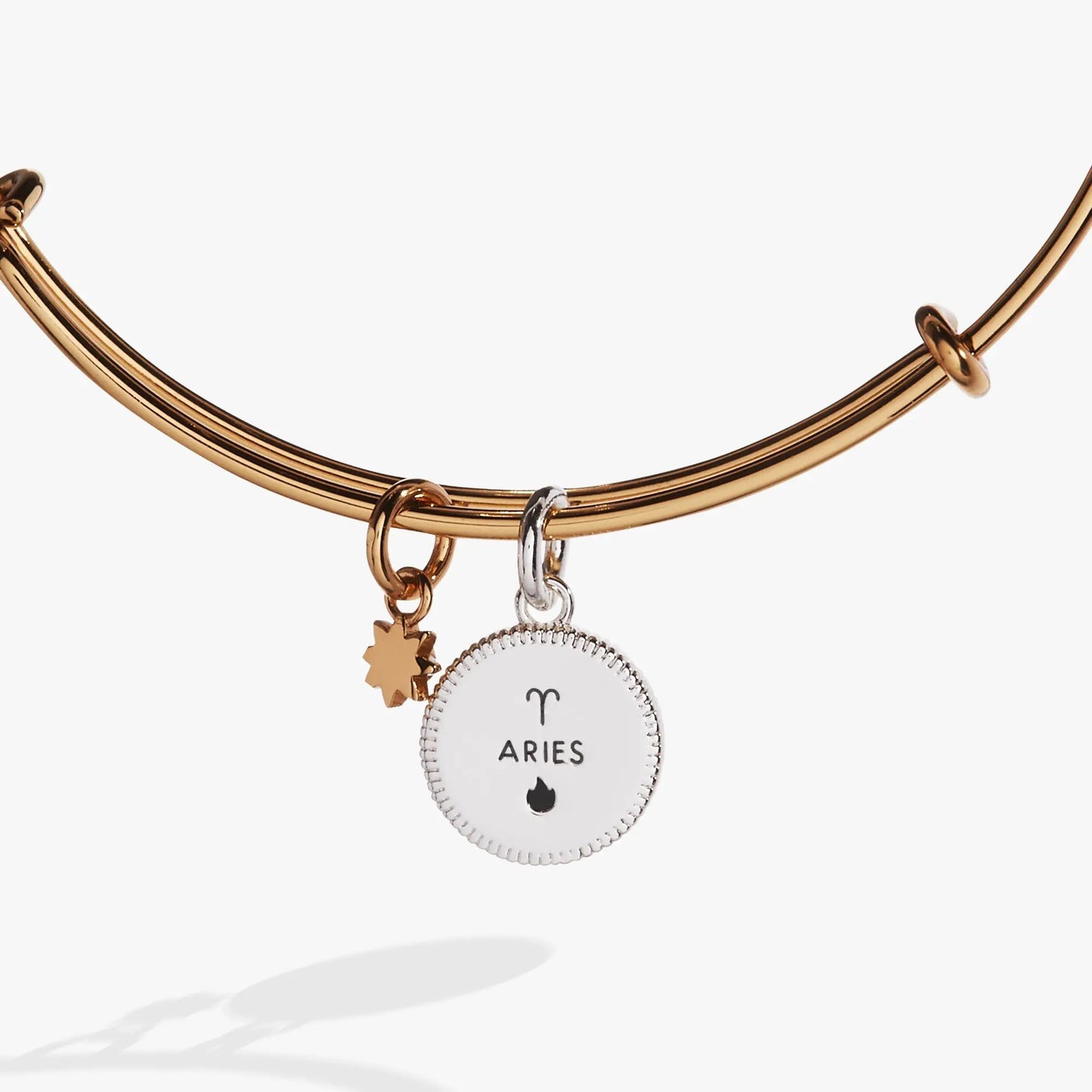 Aries Zodiac Charm Bangle by Alex and Ani in gold tone with round Aries pendant on Tampa Home & Garden Store