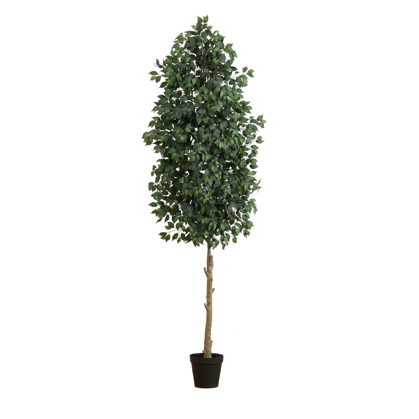 Árbol ficus artificial de 10 pies