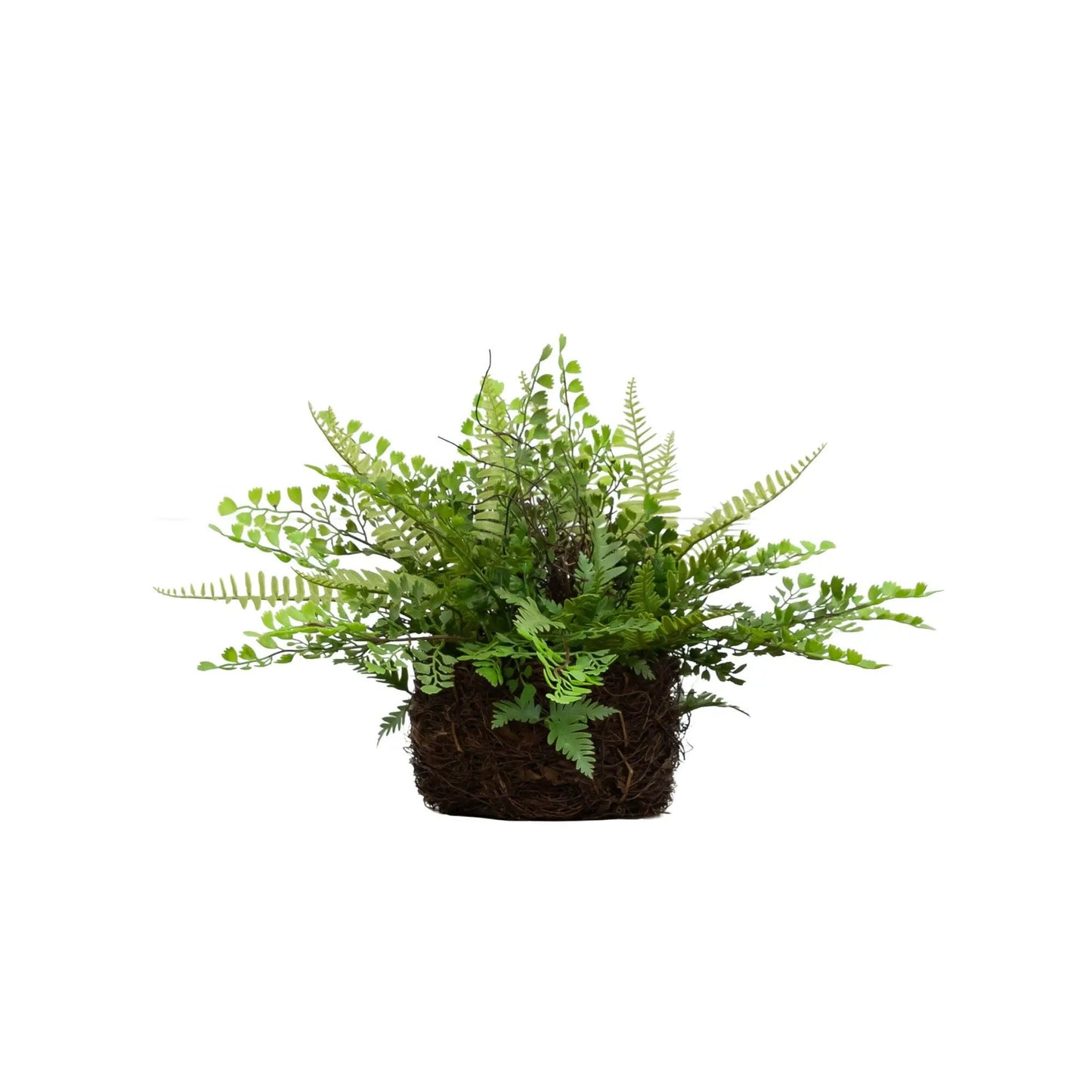 Mixed Fern with Twig and Moss Basket artificial green plant by Nearly Natural on Tampa Home & Garden Store