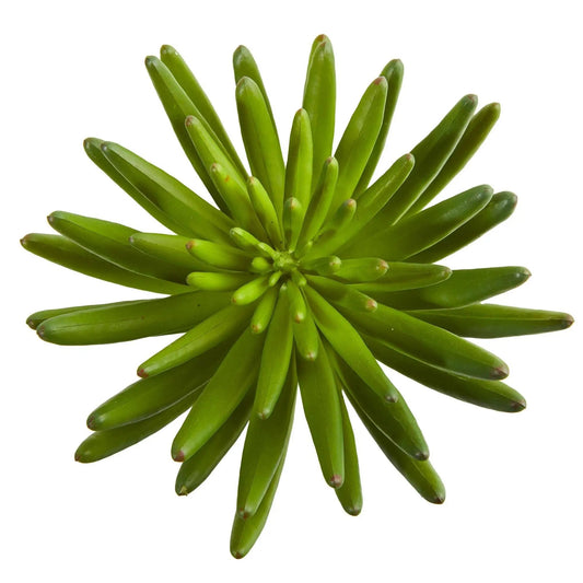 12β Succulent Artificial Plant (Set of 6) - Tampa Home & Garden Store