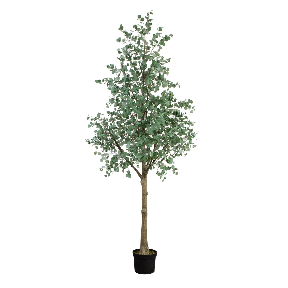Artificial eucalyptus tree 13 ft by Nearly Natural in a black pot on Tampa Home & Garden Store