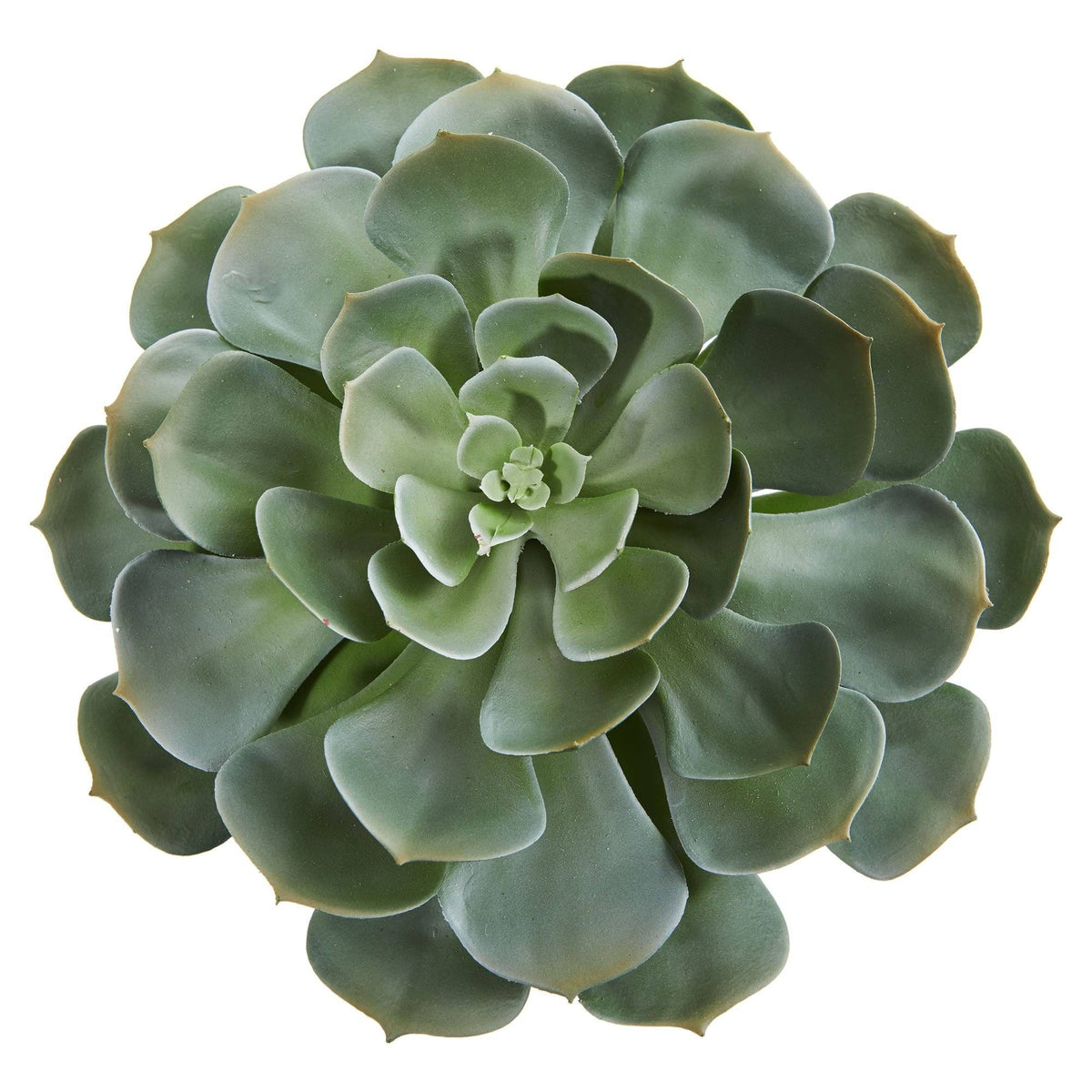 13in Giant Echeveria Succulent artificial plant set of 2 with rosette leaves Nearly Natural on Tampa Home & Garden Store
