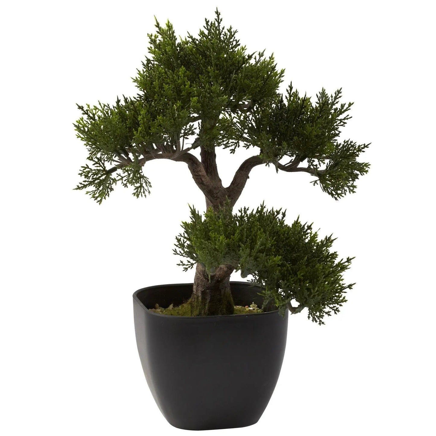 Fifteen Inch Artificial Cedar Bonsai Tree by Nearly Natural in a black pot with moss on Tampa Home & Garden Store