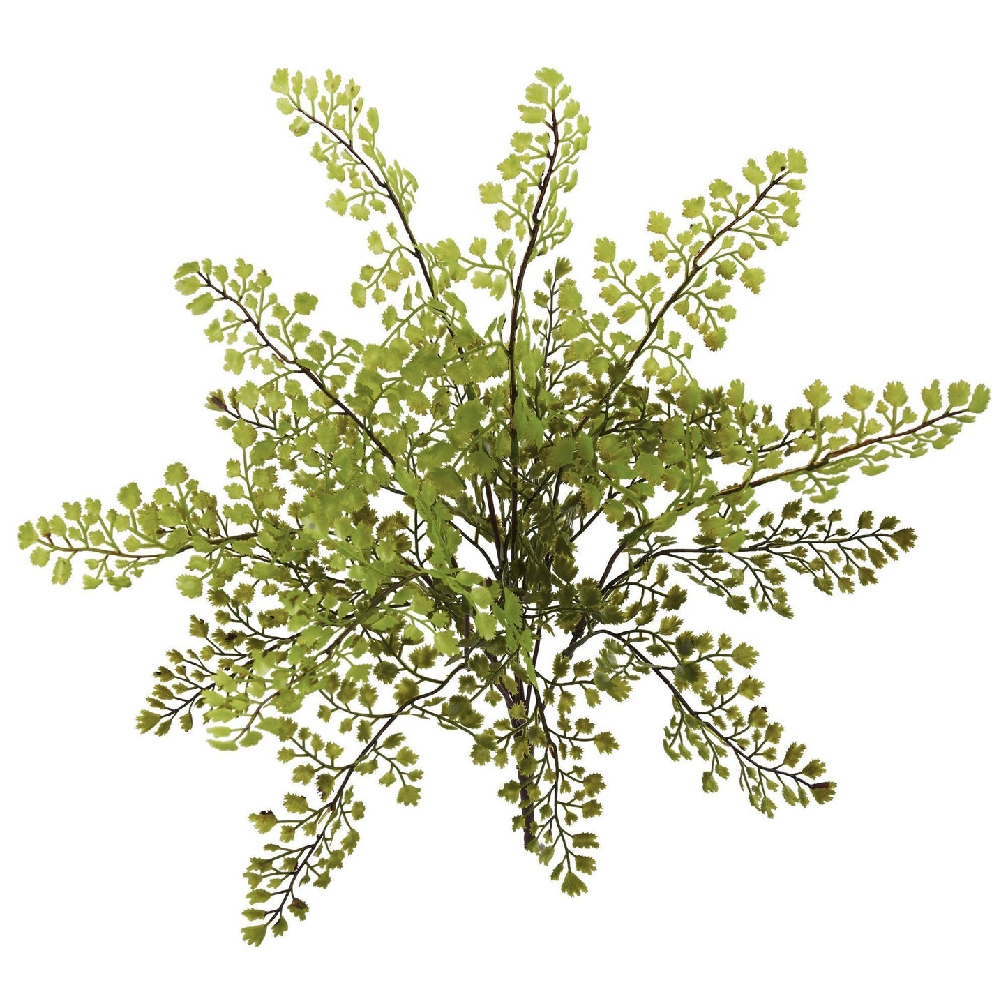Planta artificial de Adiantum de 15" (Paquete de 12)