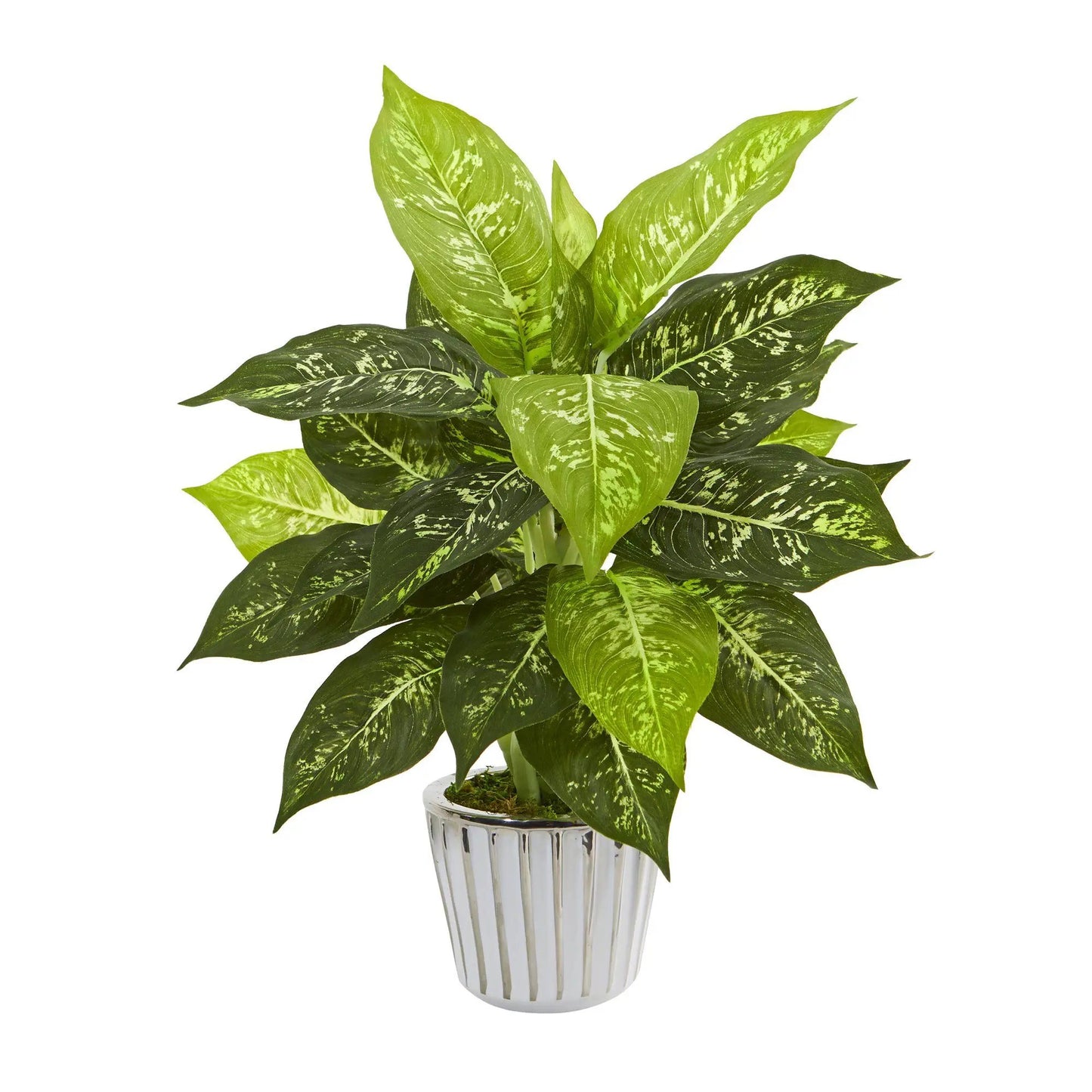 Dieffenbachia artificial plant set of 2 in white vase with green leaves on Tampa Home & Garden Store