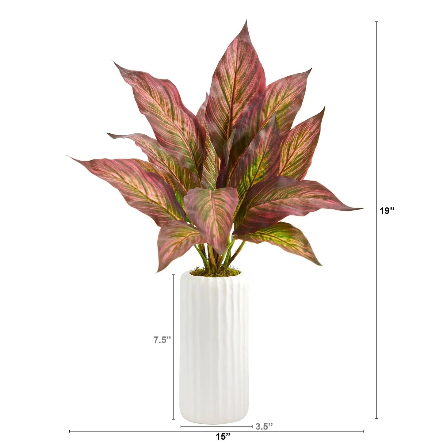 Musa Leaf artificial plant in white ribbed planter with pink-red variegated leaves Nearly Natural on Tampa Home & Garden Store