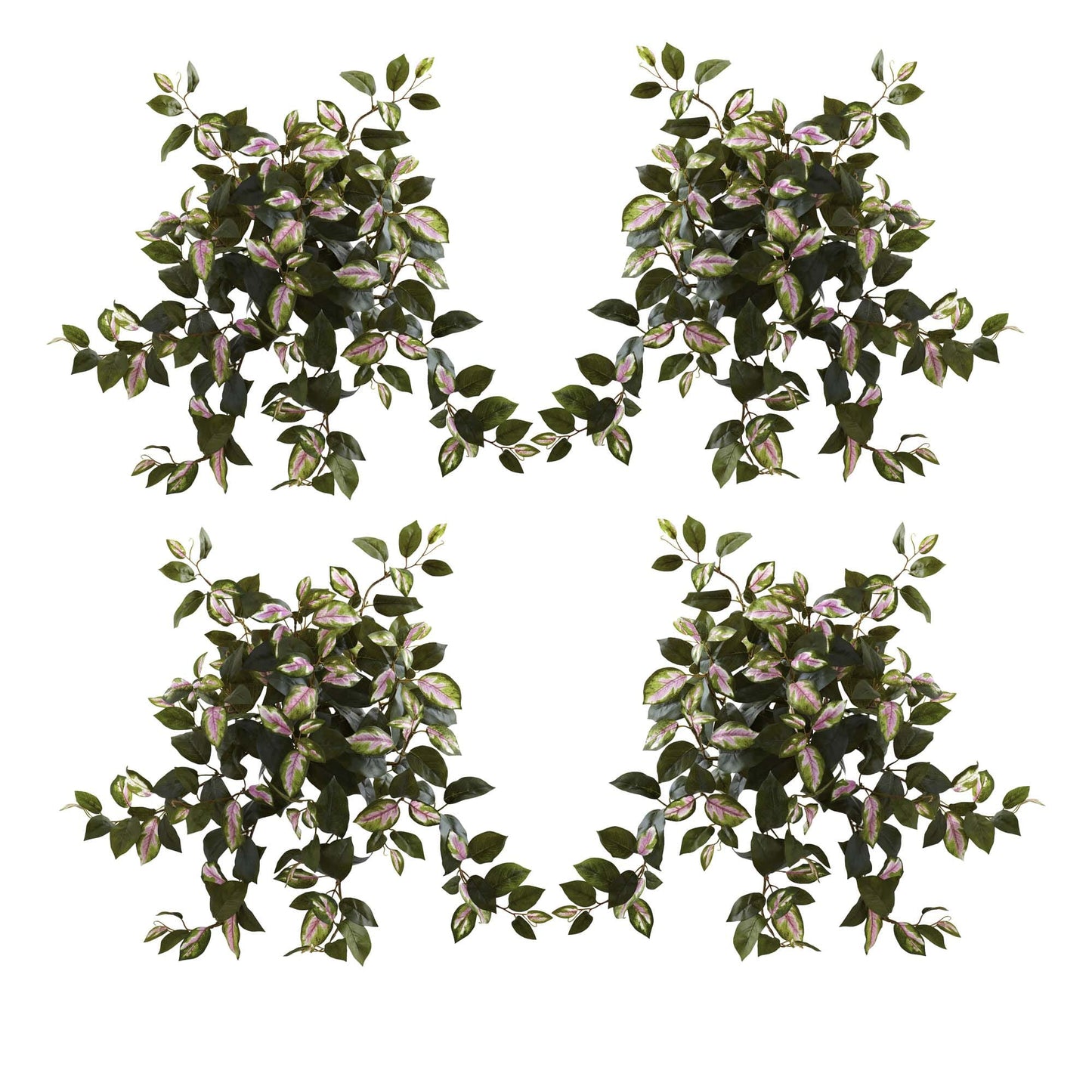Hoya hanging bush set of 4, Nearly Natural 21in vines with variegated pink-green leaves on Tampa Home & Garden Store
