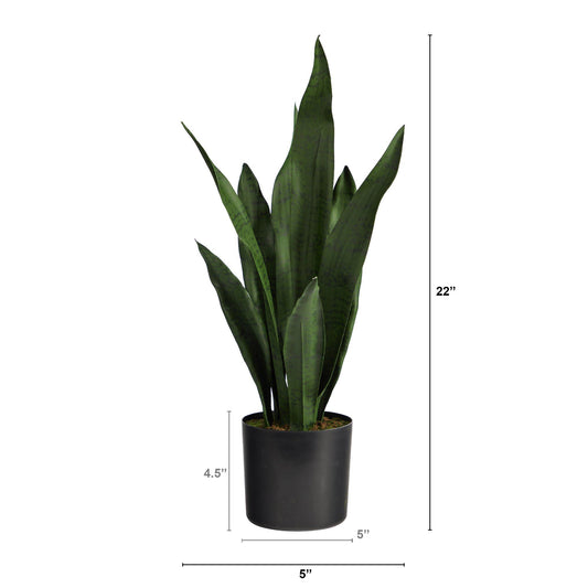 22" Sansevieria Artificial Plant - Tampa Home & Garden Store