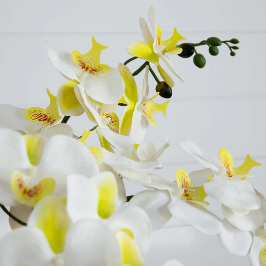 23-inch Phalaenopsis orchid arrangement featuring white and yellow blooms on green stems on Tampa Home & Garden Store