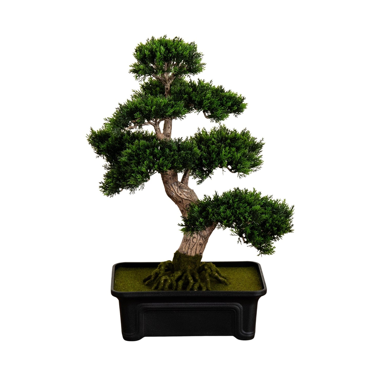 Cedar Bonsai 24" Silk Plant"