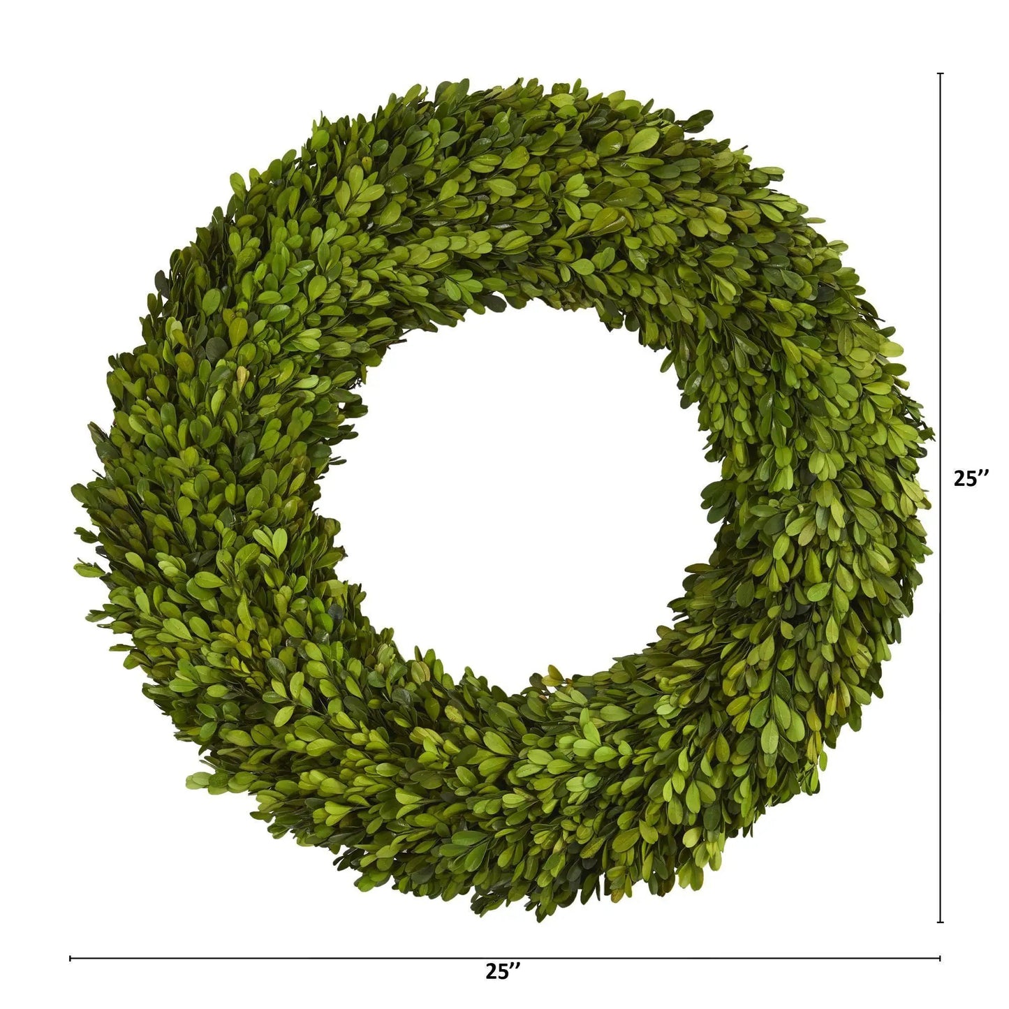 Preserved Boxwood Wreath 24-Inch Display, Nearly Natural green boxwood leaves on Tampa Home & Garden Store