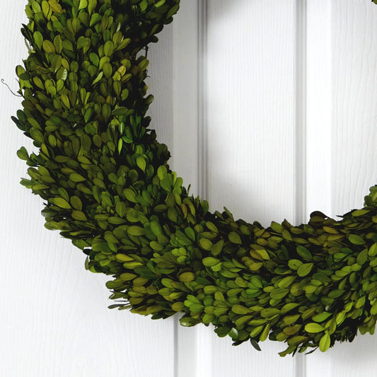 Preserved Boxwood Wreath 24 Inch Display