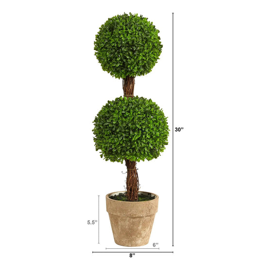 2.5 ft boxwood double-ball topiary tree with green leaves in a rustic terracotta pot on Tampa Home & Garden Store