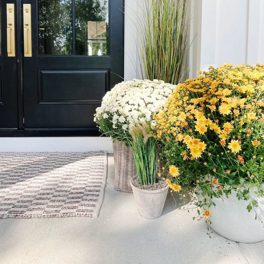 Lifelike 2.5 ft Nearly Natural artificial grass plant in gray pot beside white mum bouquet on Tampa Home & Garden Store