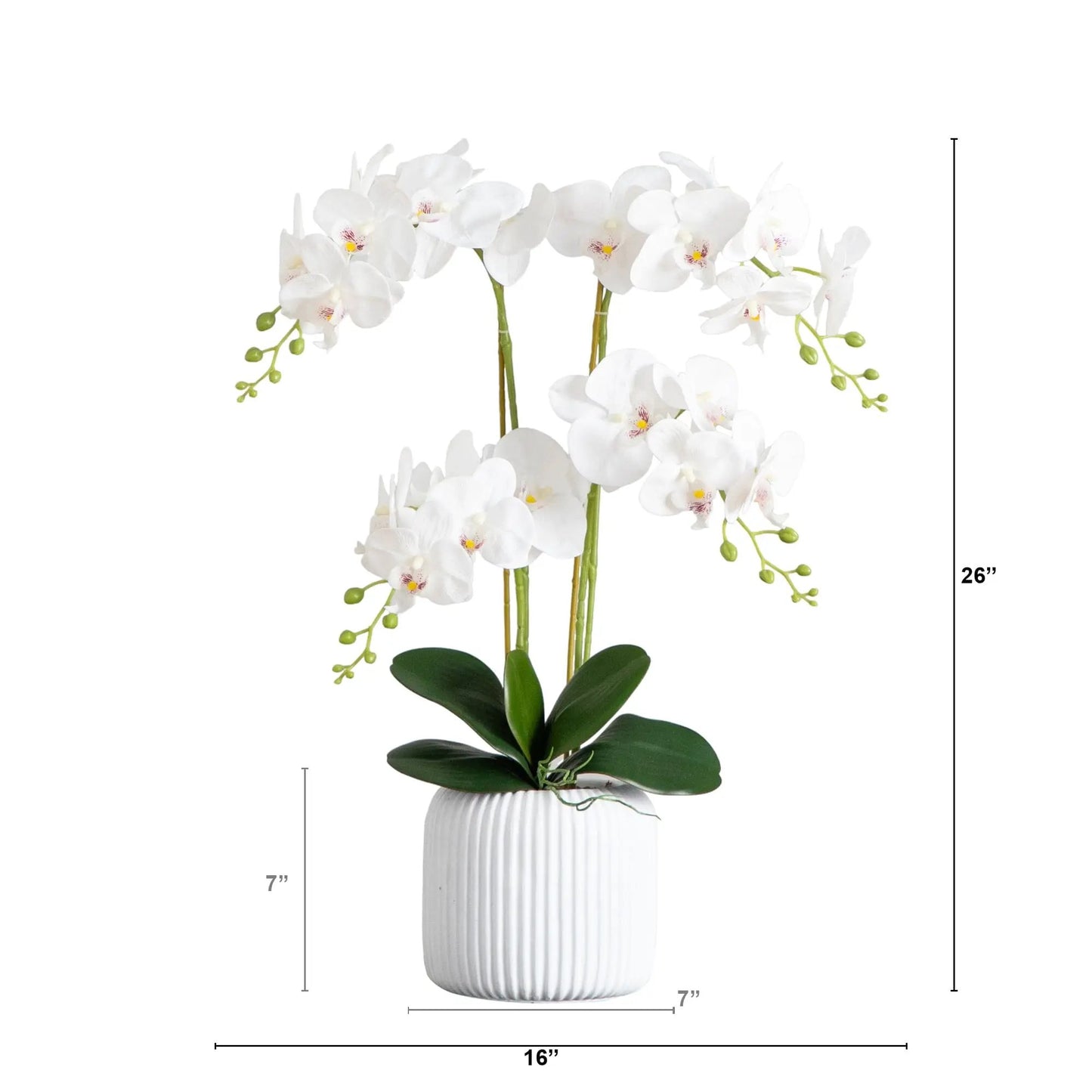 26-inch artificial Phalaenopsis orchid arrangement with white blooms in a ribbed ceramic vase on Tampa Home & Garden Store