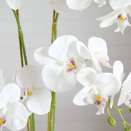 Artificial Phalaenopsis orchid arrangement, 26-inch, white blooms on green stems on Tampa Home & Garden Store