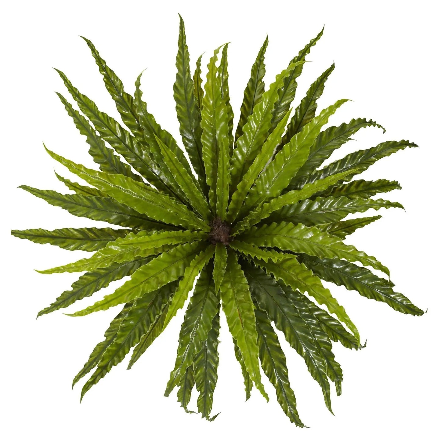 26-inch Asplenium artificial plant set of 2 with green fronds by Nearly Natural on Tampa Home & Garden Store