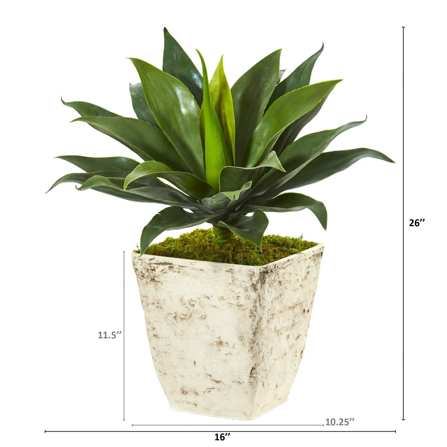 Agave artificial plant with green leaves in a country white planter with moss Nearly Natural on Tampa Home & Garden Store