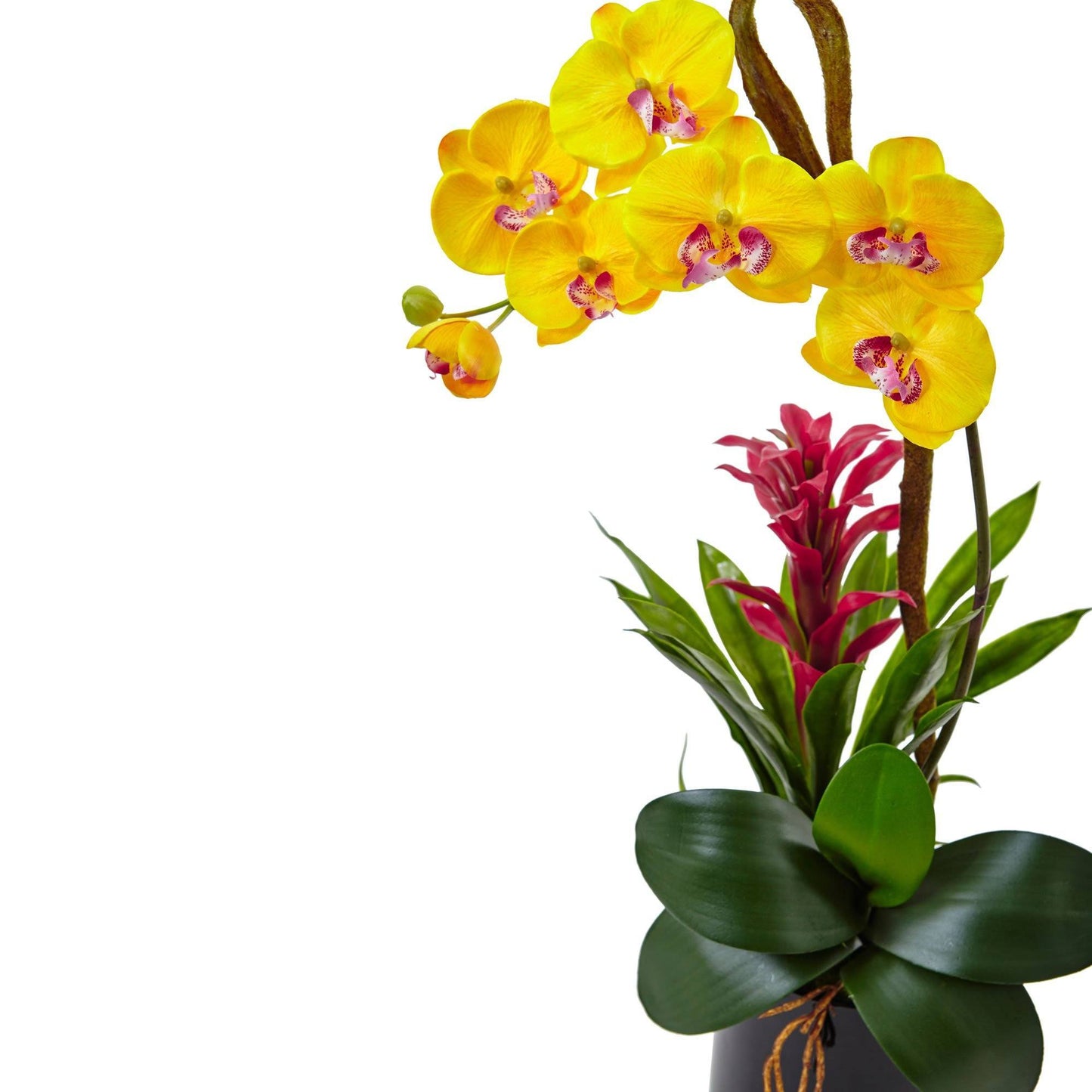 Orquídea y bromelia de 26” en cilindro negro brillante