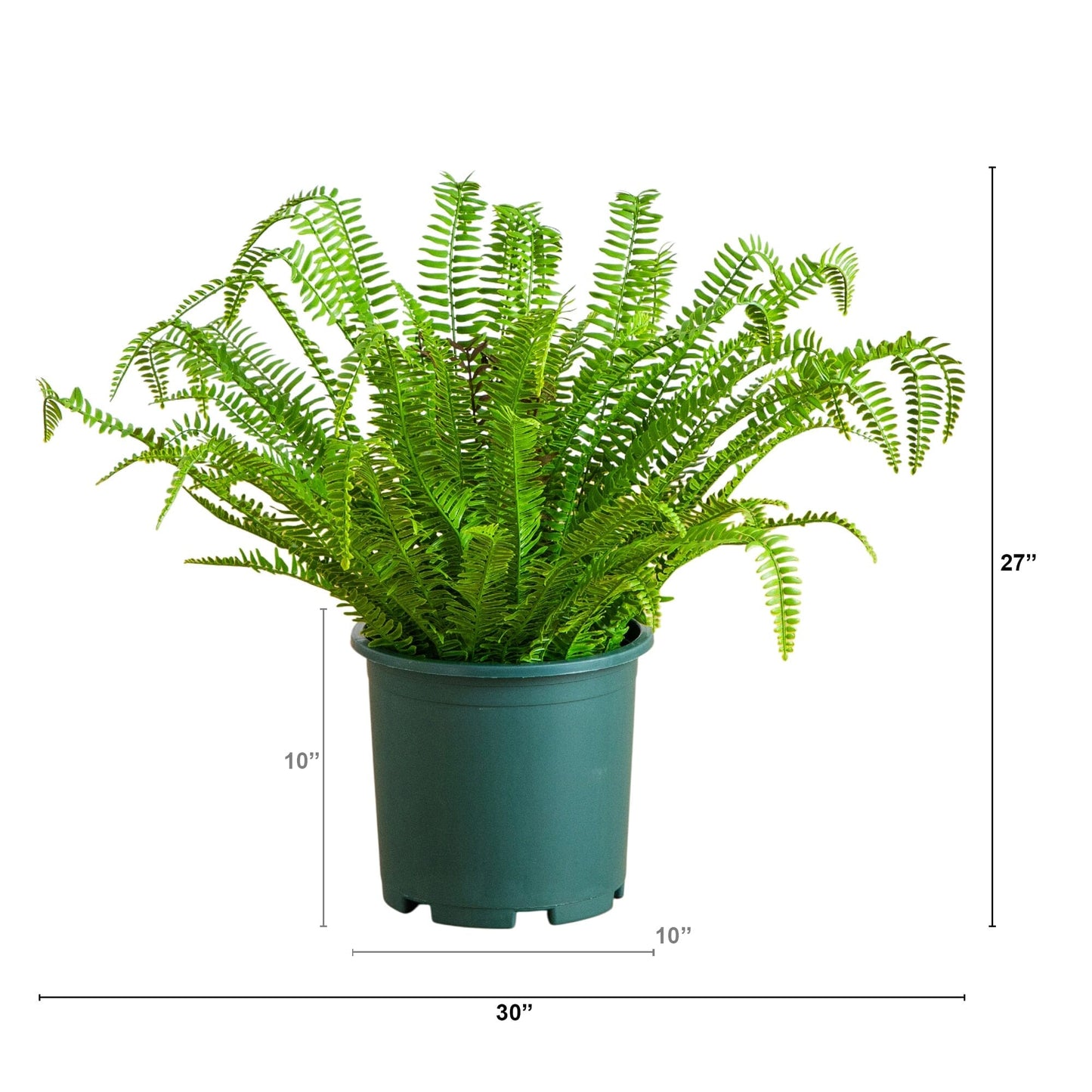 Boston Fern Plant by Nearly Natural 27-in UV Resistant Artificial green pot indoor-outdoor on Tampa Home & Garden Store