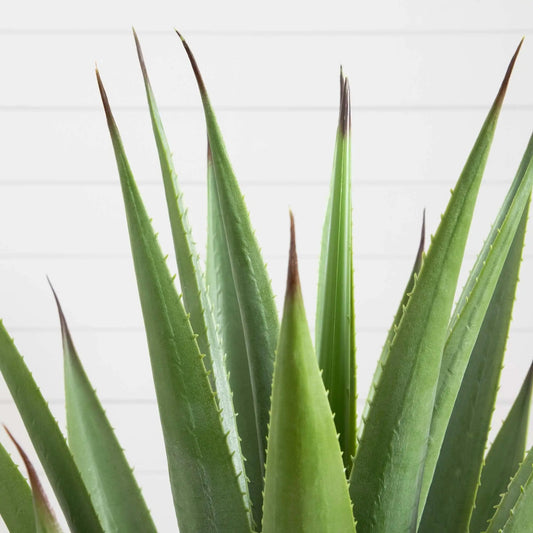 28-inch artificial agave plant green leaves brown-tipped Nearly Natural home decor non-flowering on Tampa Home & Garden Store
