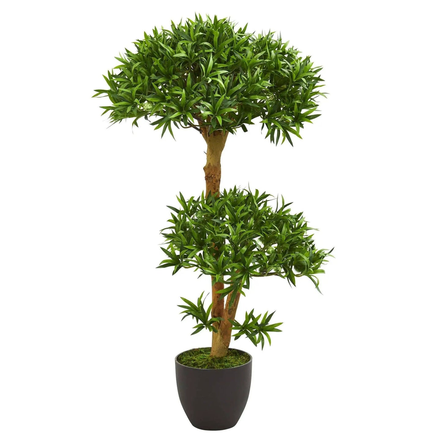 3 ft Bonsai Styled Podocarpus artificial tree by Nearly Natural in black planter on Tampa Home & Garden Store