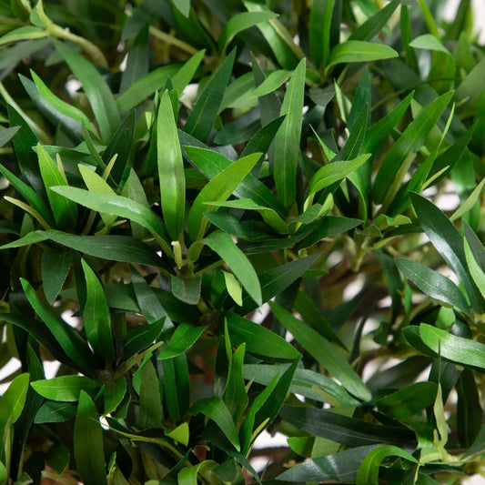 3 ft Bonsai Styled Podocarpus Artificial Tree with lush green leaves Nearly Natural on Tampa Home & Garden Store