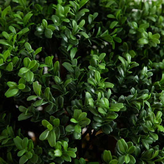 Three-foot boxwood artificial topiary tree by Nearly Natural with dense glossy green leaves on Tampa Home & Garden Store