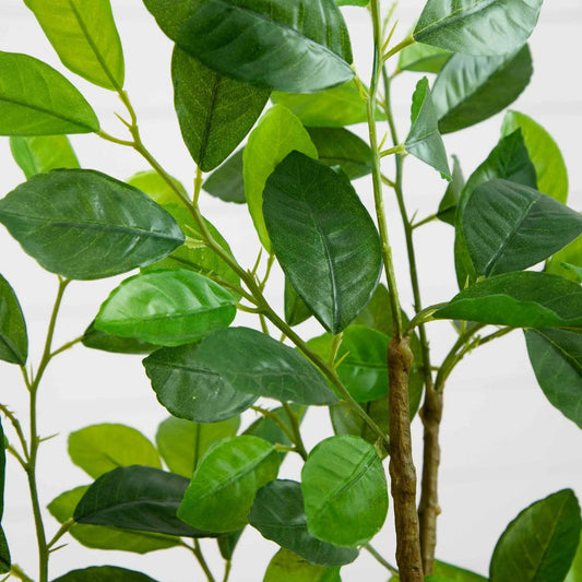 3 ft Ficus artificial tree with glossy green leaves and brown trunk by Nearly Natural on Tampa Home & Garden Store