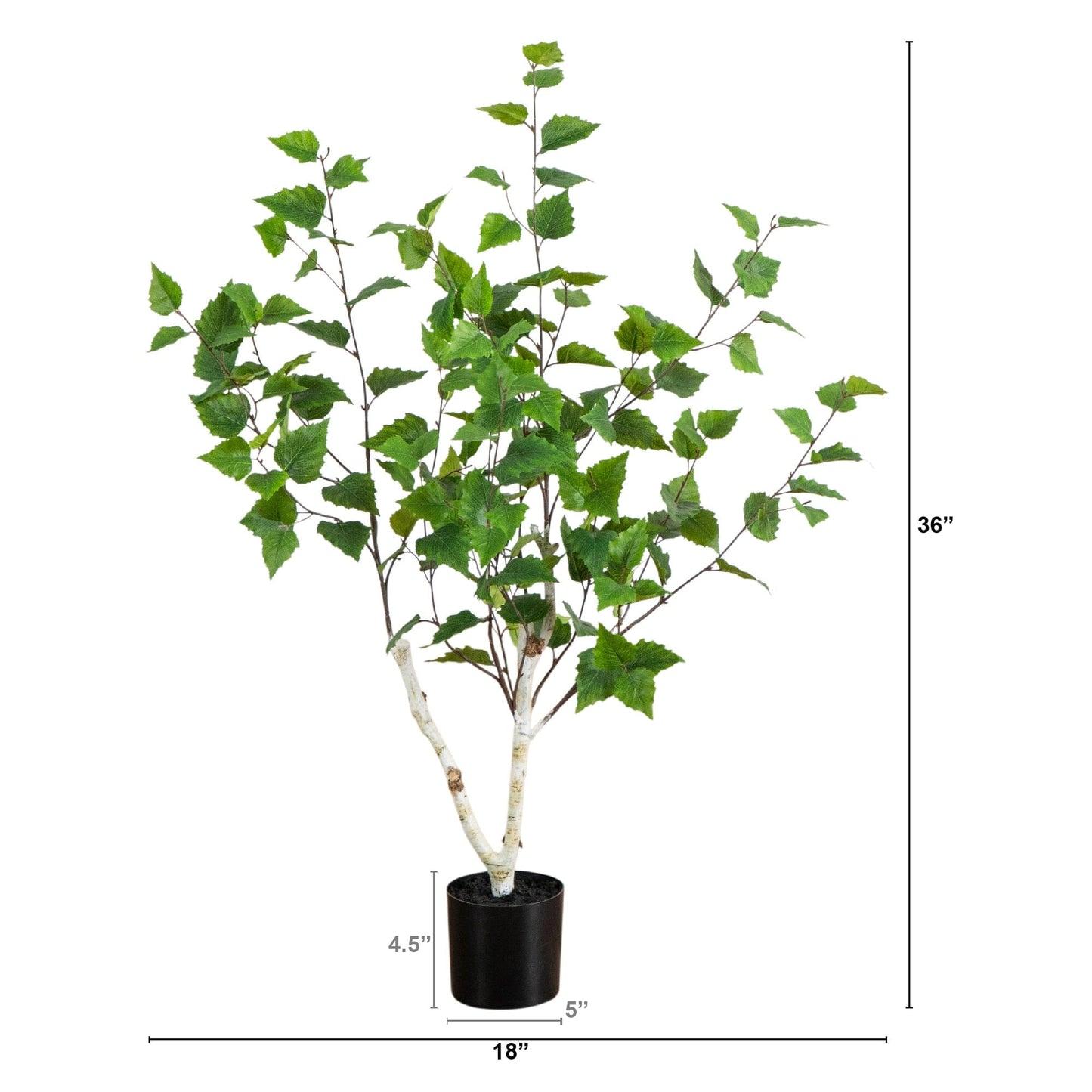 3' Artificial Birch Tree by Nearly Natural with green leaves and white trunk in a black pot on Tampa Home & Garden Store