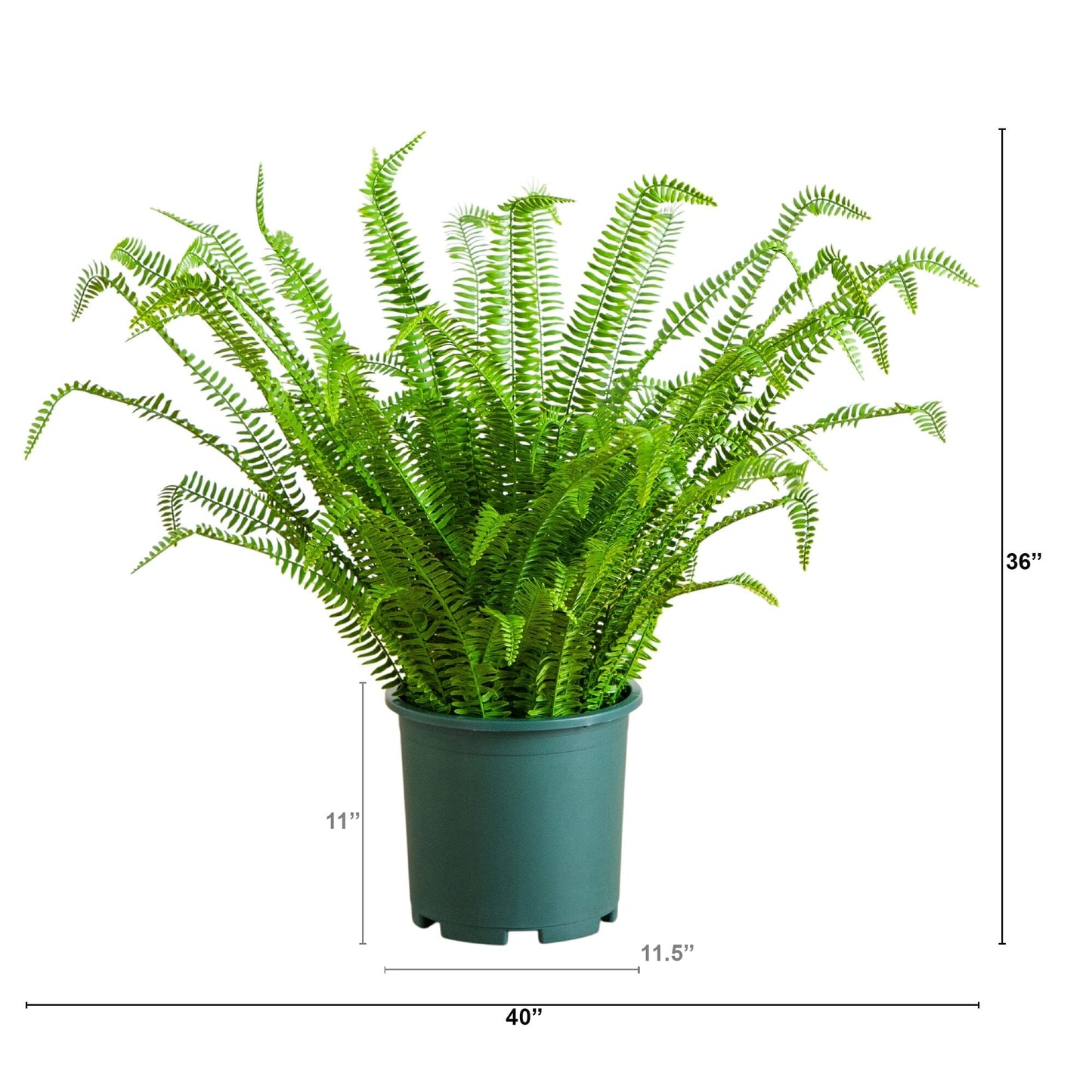 3-ft UV-resistant artificial Boston fern plant in green pot by Nearly Natural indoor/outdoor on Tampa Home & Garden Store
