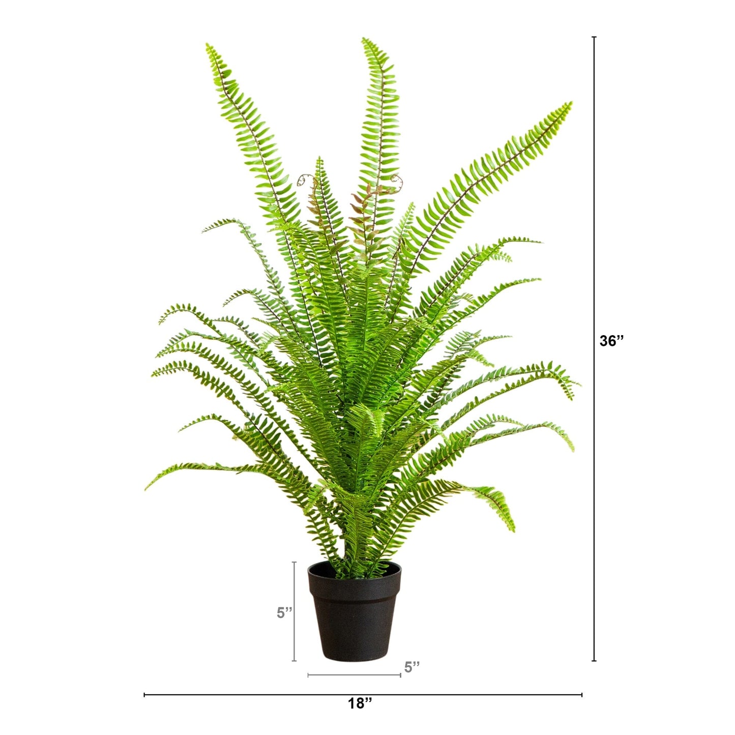 Artificial Boston fern plant, Nearly Natural, 3 ft tall, UV resistant in dark pot on Tampa Home & Garden Store