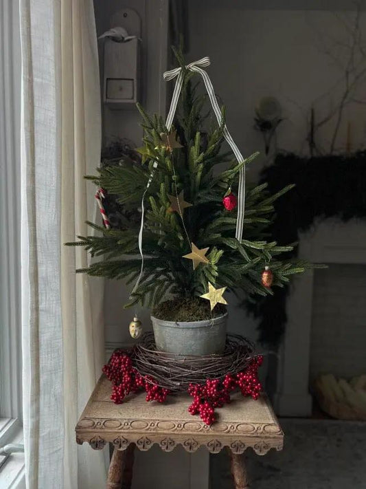 Norfolk Island Pine Christmas Tree in Planter, artificial tree in metal pot with ornaments on Tampa Home & Garden Store