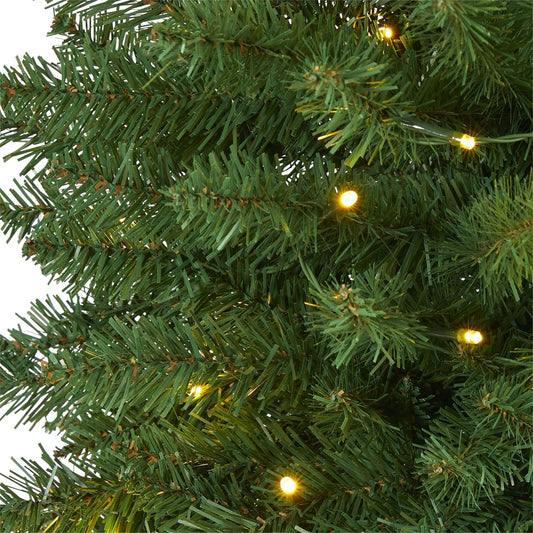 Slim green Mountain Pine Christmas tree with 50 LED lights on Tampa Home & Garden Store